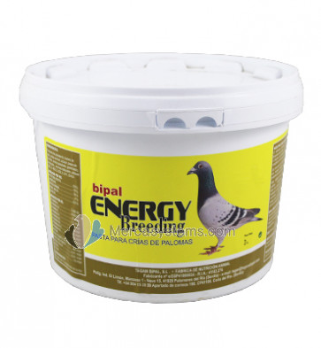 Bipal Energy Breeding 3 kilos (Papa de criação para Pombos correio)