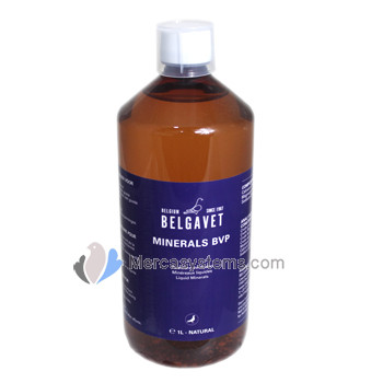 Belgavet pigeons products: minerals 1000ml