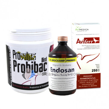 Pássaros Saudáveis, Fortes e Sem Doenças, durante todo o ano.