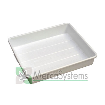 Produtos para pombos: Banheira plástica branco: 50 x 55 x 10 cm. 