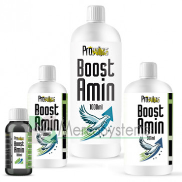 Prowins Boost-Amin