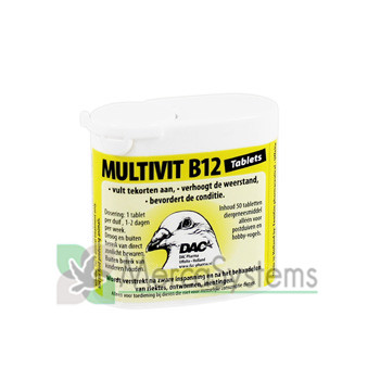 Multivit B12 (Multivitaminas com B12 extra e Aminácidos)