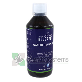 Belgavet Garlic Herbal 500ml (Antifúngico y antibiótico 100% Natural). Para Palomas y Pájaros