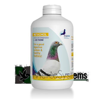Productos e suplementos para pombos-correio: PHP Metachol 500ml (protege o fígado e os rins e ajuda a digestão)