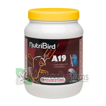 NutriBird A 19 de 800gr (Birdfood completa para criação à mão de araras, eclectus, papagaios com cabeça de falcão, papagaios cinzentos africanos e outros babybirds)