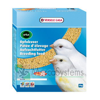 Versele Laga Orlux pasta Seca canários brancos reprodução 5 kg