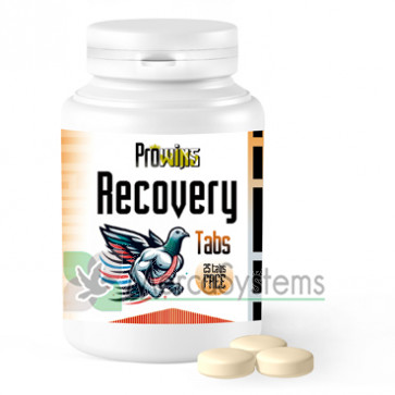 Prowins Recovery Tabs