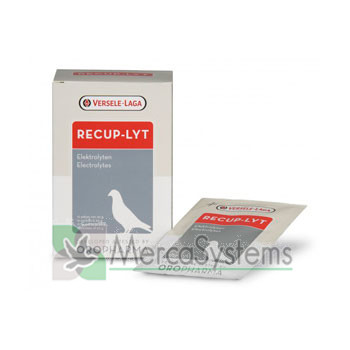 Versele Laga Pigeons Products, recup-lyt electrolyte