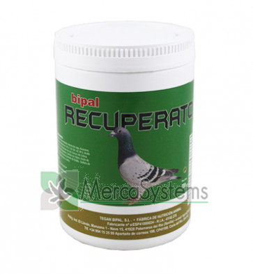 Bipal Recuperator 700 gr. (proteínas, vitamina B e minerais)