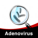 Esquema a seguir para o Tratamento individual do Adenovirus nos Pombos.