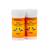 loja online de productos para pombos e para Columbofilia: BBony Energi capsules, (cápsulas de energia 100% natural). Pombos-correio
