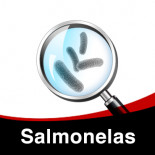 Tratamento das Salmonelas nos Pombos